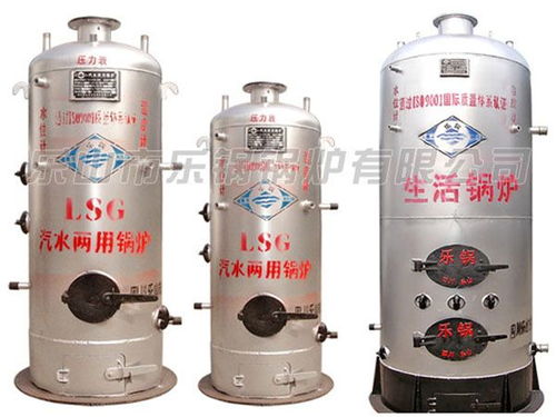 樂鍋鍋爐汽水兩用鍋爐制造廠
